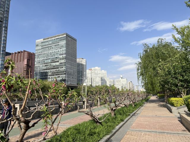 庆丰公园旅行图片 5