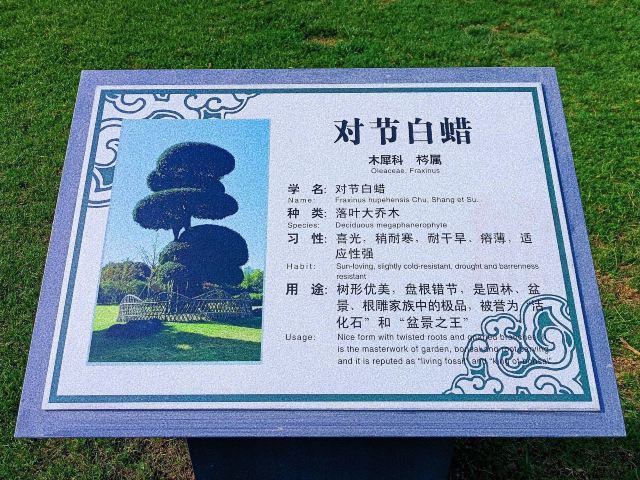 古城公园旅行图片 4