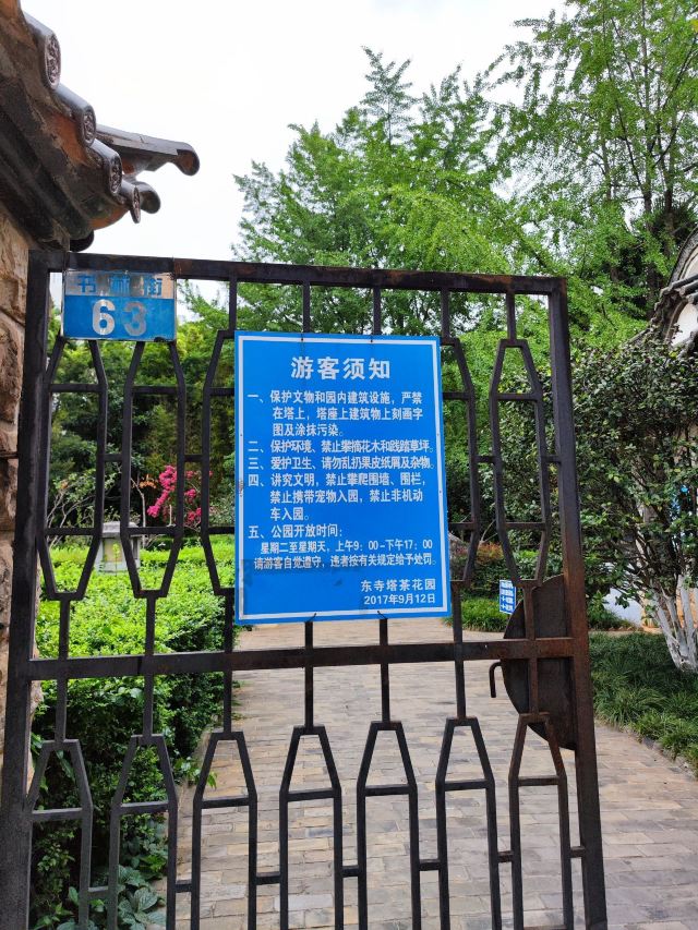东寺塔茶花园旅行图片 2