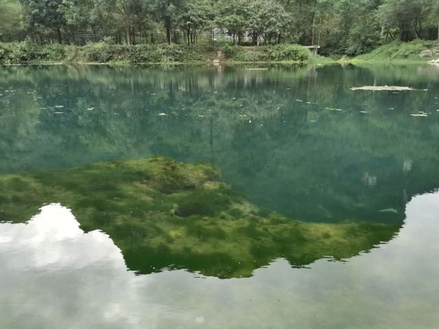 九顿溢流天窗群旅行图片 2