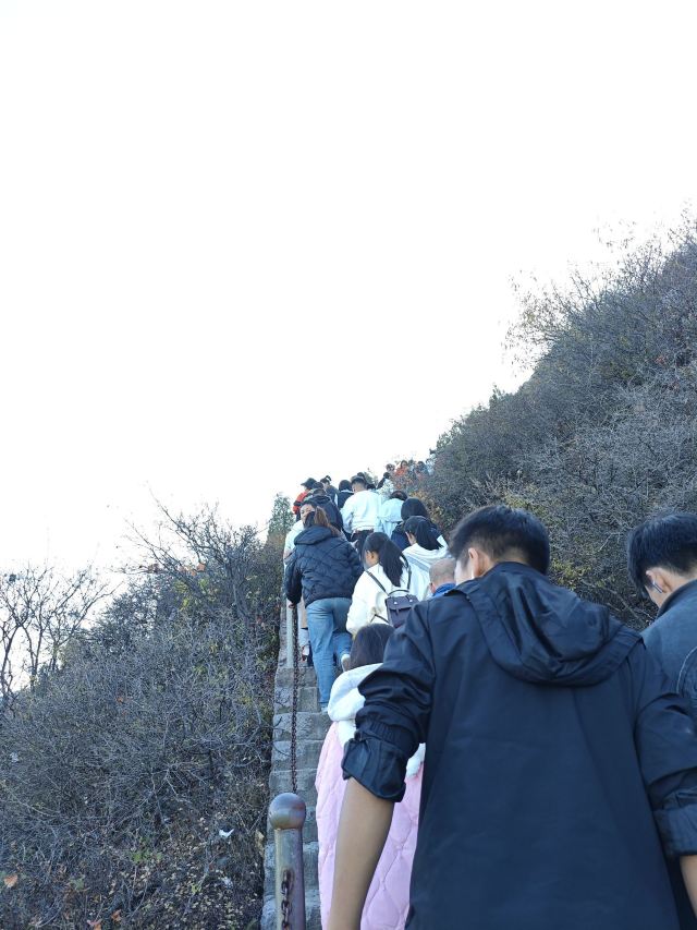 崛围山旅行图片 3