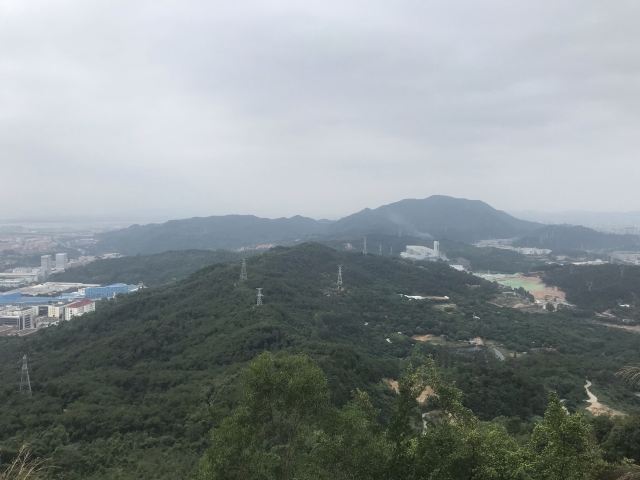 蔡尖尾山公园旅行图片 1