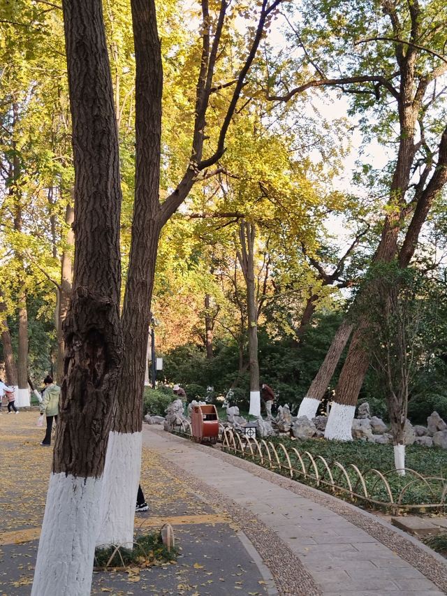 莫愁湖公园旅行图片 3