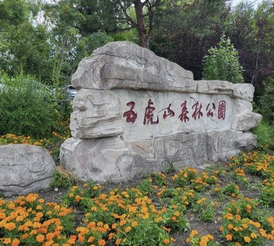 五虎山森林公园旅行图片 1