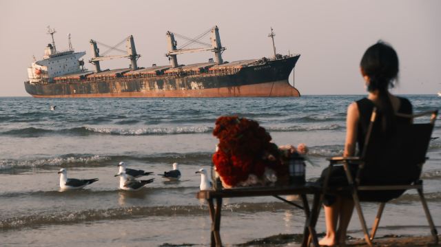布鲁威斯号搁浅巨轮旅行图片 15