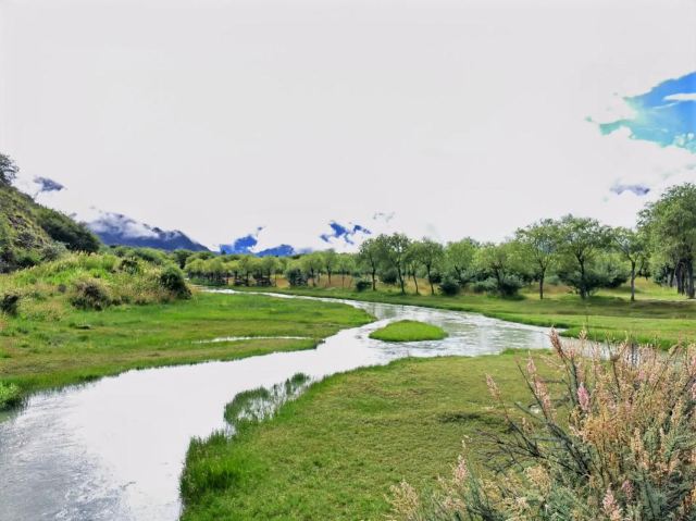 鲁朗林海风景区旅行图片 1