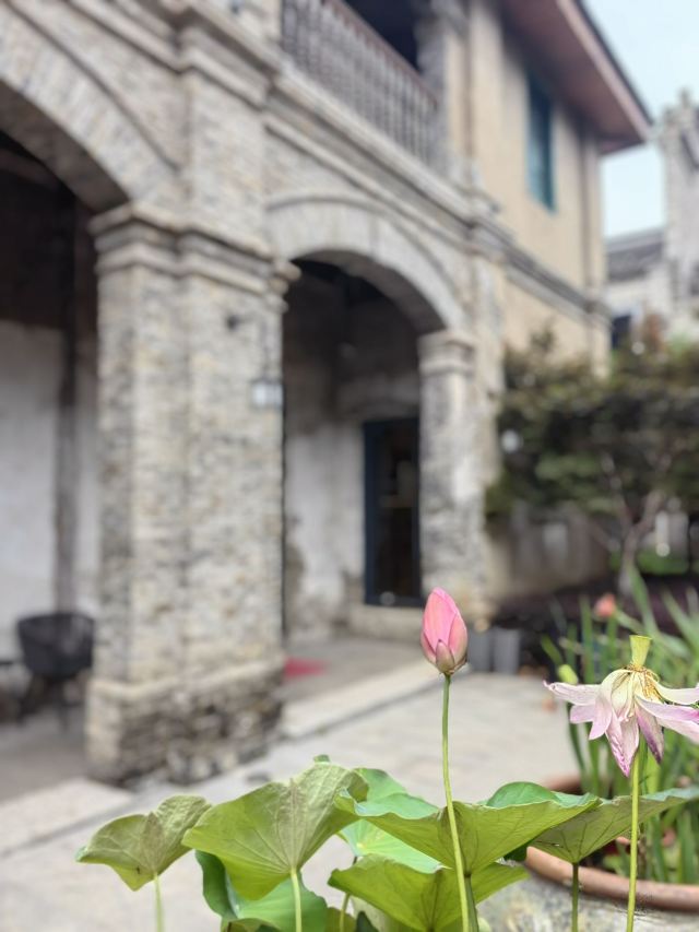 芜湖古城旅行图片 4