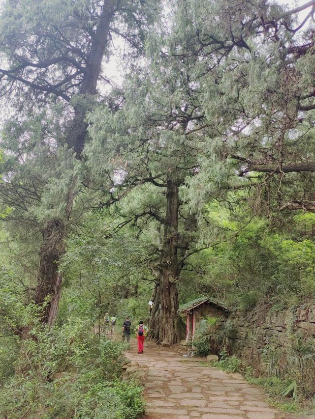 先秦古蜀道旅行图片 1