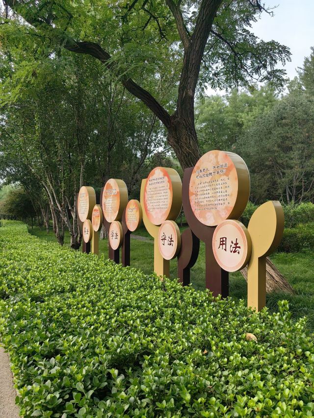 凤凰山公园旅行图片 4