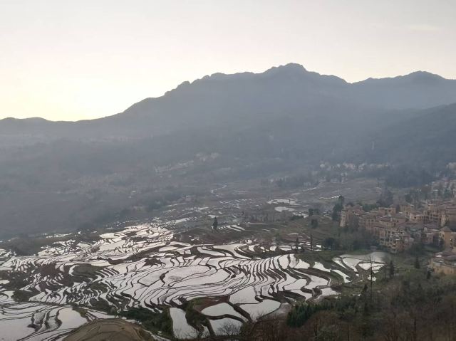多依树观景台旅行图片 3