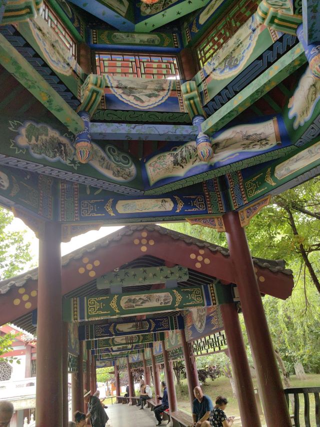 劳动公园旅行图片 15