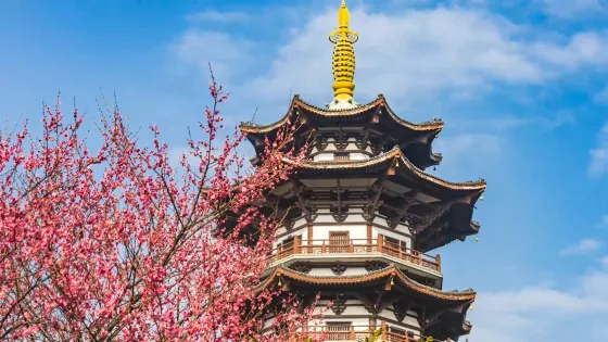 白鷺塔