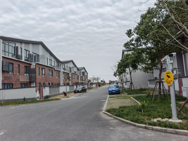 上海漕泾郊野公园旅行图片 3