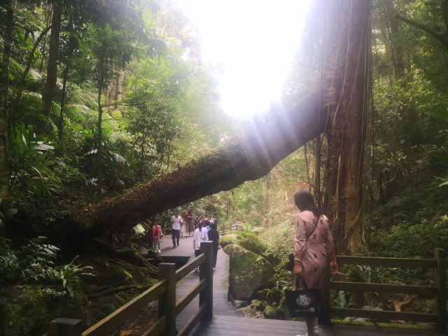 海南热带雨林国家公园五指山景区旅行图片 3