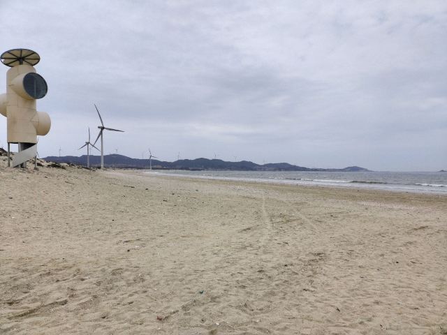 蓝眼泪观景点(长江澳海滩)旅行图片 3