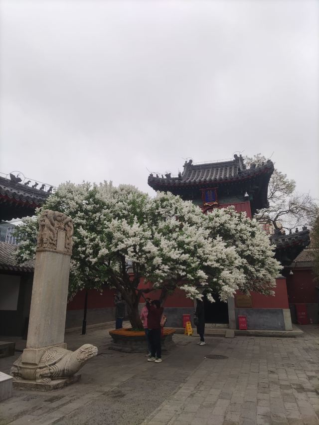 智化寺旅行图片 4