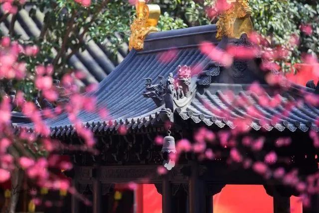 湖州铁佛寺旅行图片 2