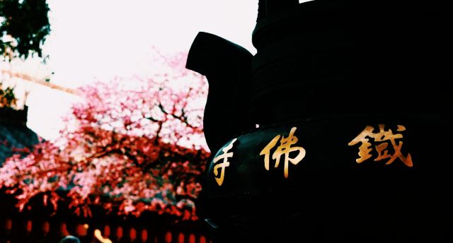 湖州铁佛寺旅行图片 12