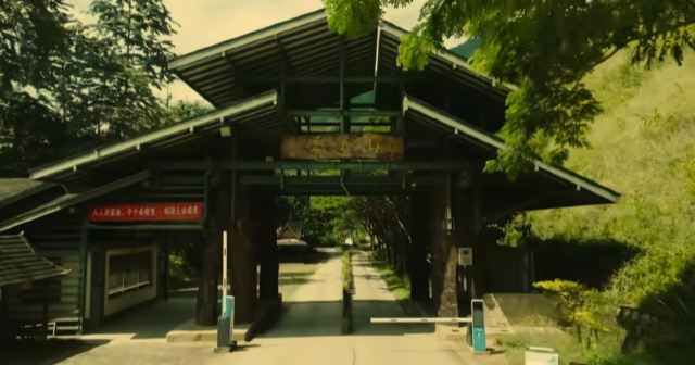 景迈千年万亩古茶园旅行图片 2