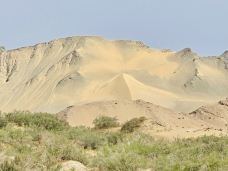 多坝沟胡杨峡景区-阿克塞-YoYo_7Z2J7N4B