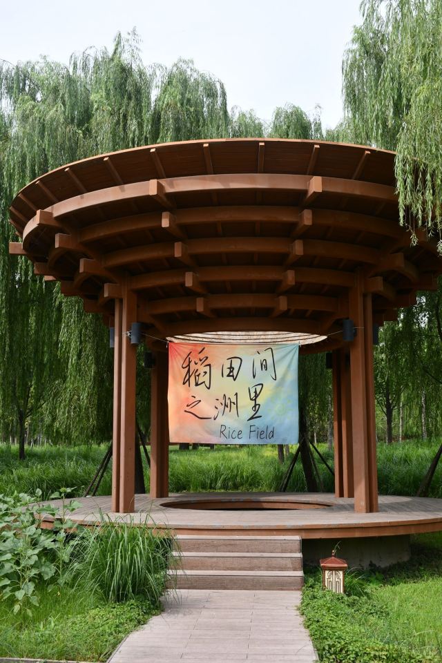 清河之洲旅行图片 10