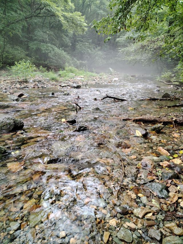 酒泉六分湿地景区旅行图片 3