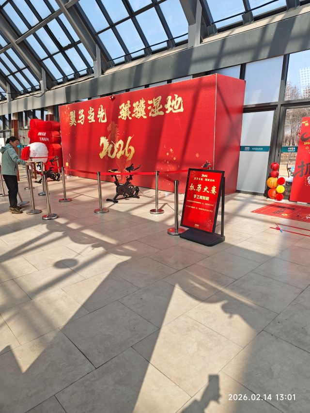 上海东滩湿地公园旅行图片 1