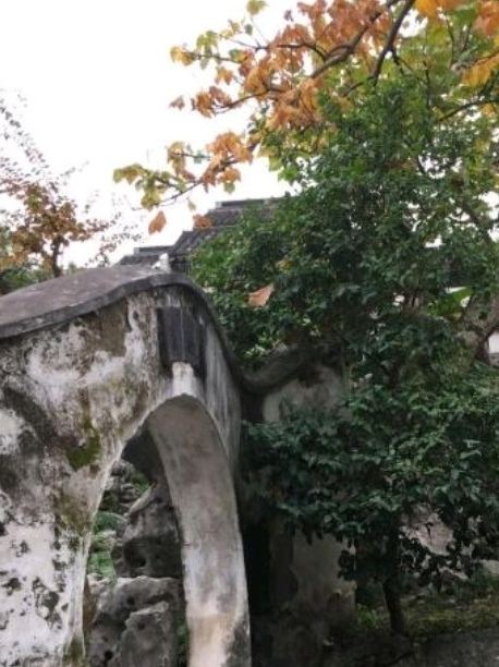 怡园旅行图片 1