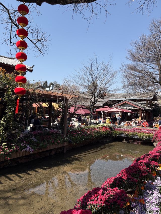 丽江古城旅行图片 2