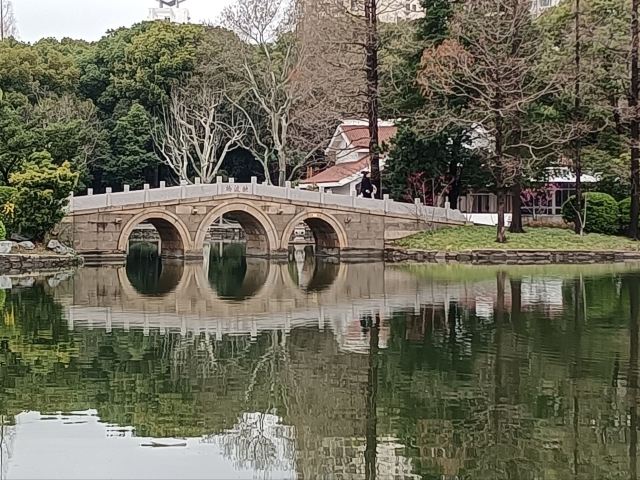 杨浦公园旅行图片 2
