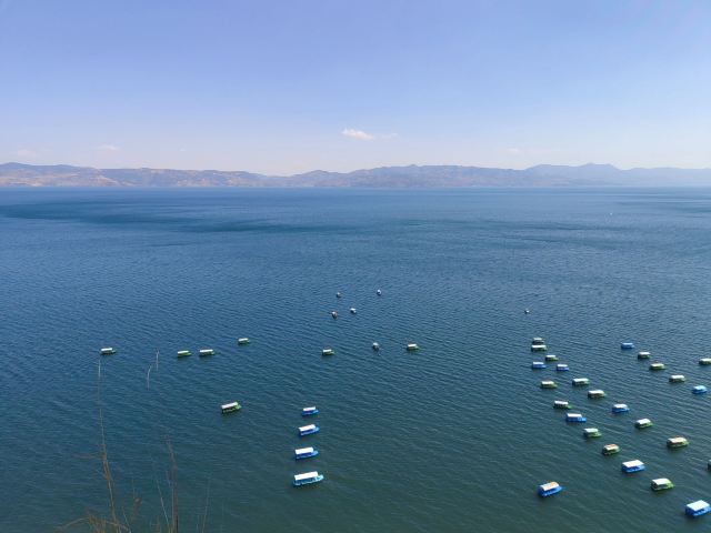 抚仙湖国际度假小镇湖畔森林公园旅行图片 4