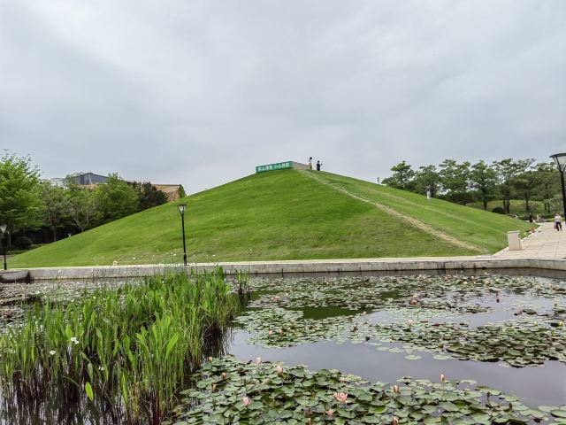 海湾公园旅行图片 7