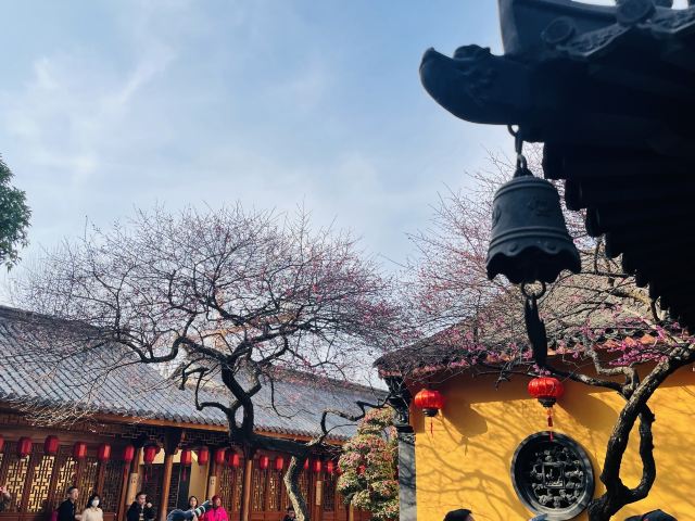 湖州铁佛寺旅行图片 3
