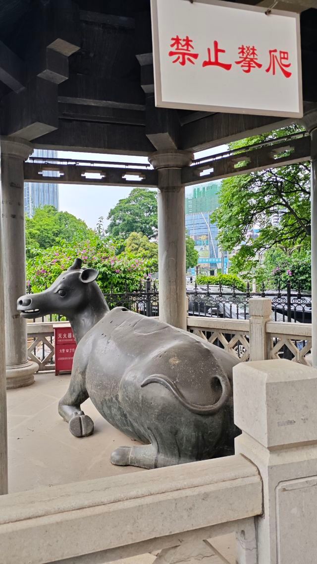 金牛街清真寺旅行图片 1