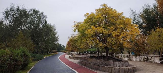 平安心湿地公园旅行图片 4