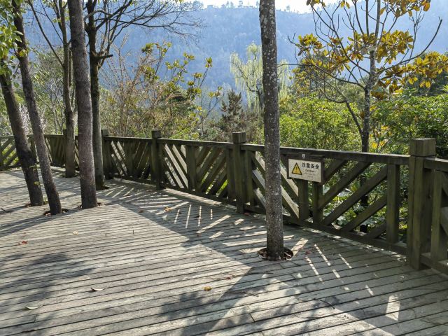 青川郝家坪战国墓群旅行图片 5