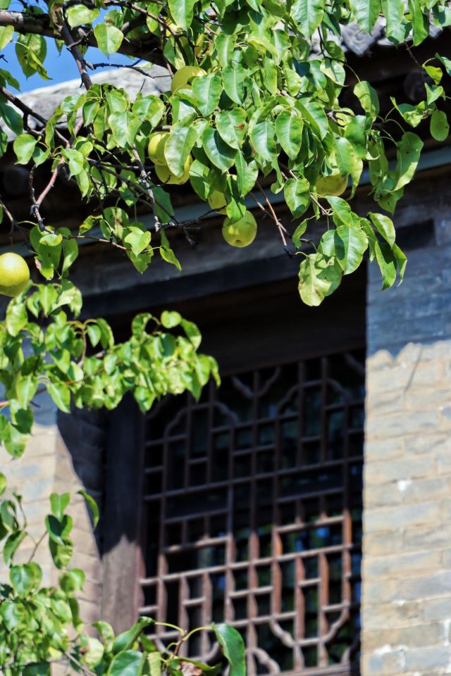 太行人家·喜镇苏庄旅行图片 4