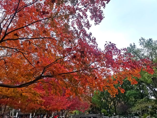 上海鲁迅公园旅行图片 3