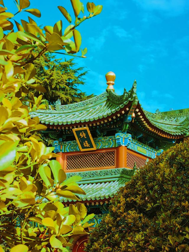 广仁寺旅行图片 5