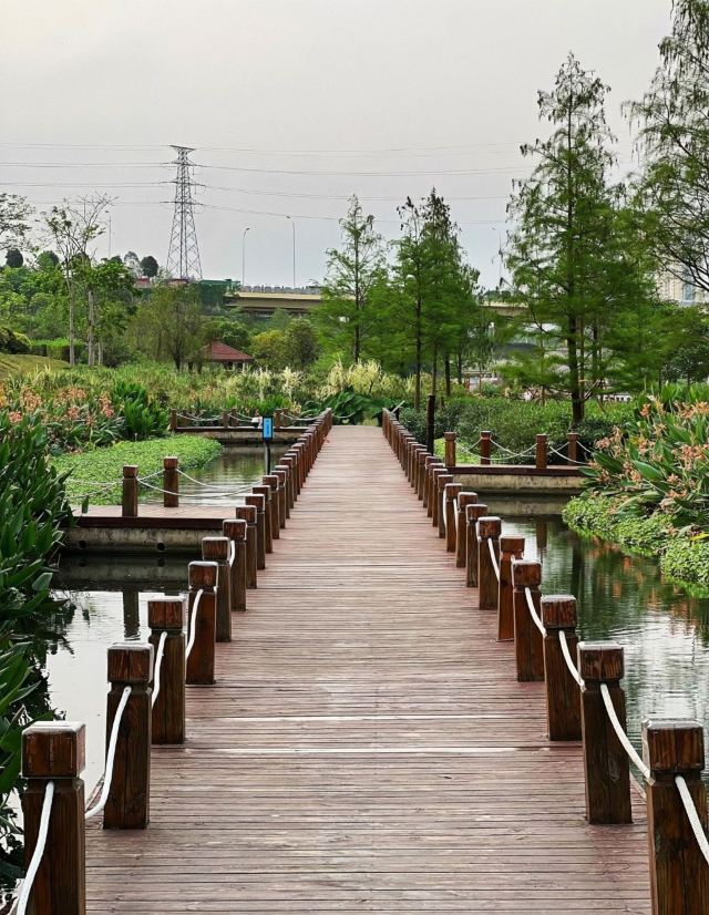 那考河湿地公园旅行图片 9