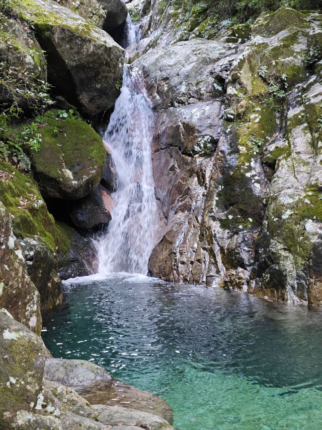 箬寮原始森林旅行图片 3
