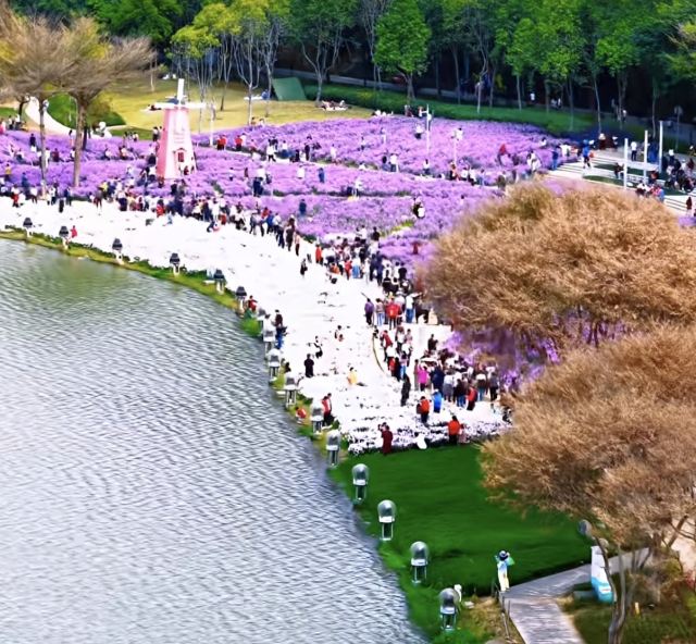 顺峰山公园旅行图片 2