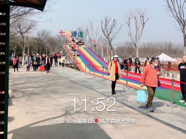 南京森林大世界旅行图片 2