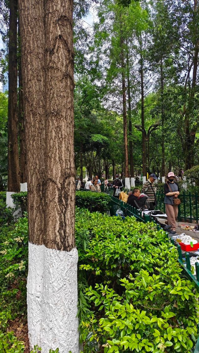 金牛街清真寺旅行图片 9