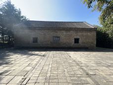 登封-会飞的蚂蚁1