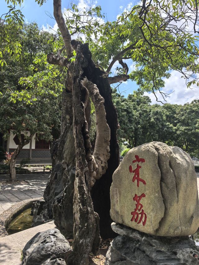 西禅古寺旅行图片 6