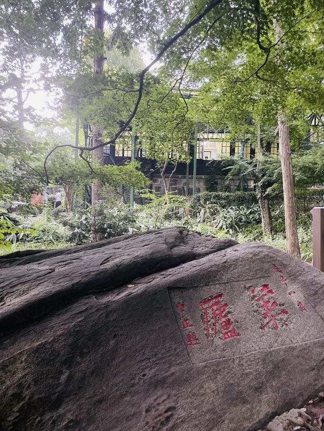 美庐别墅旅行图片 2