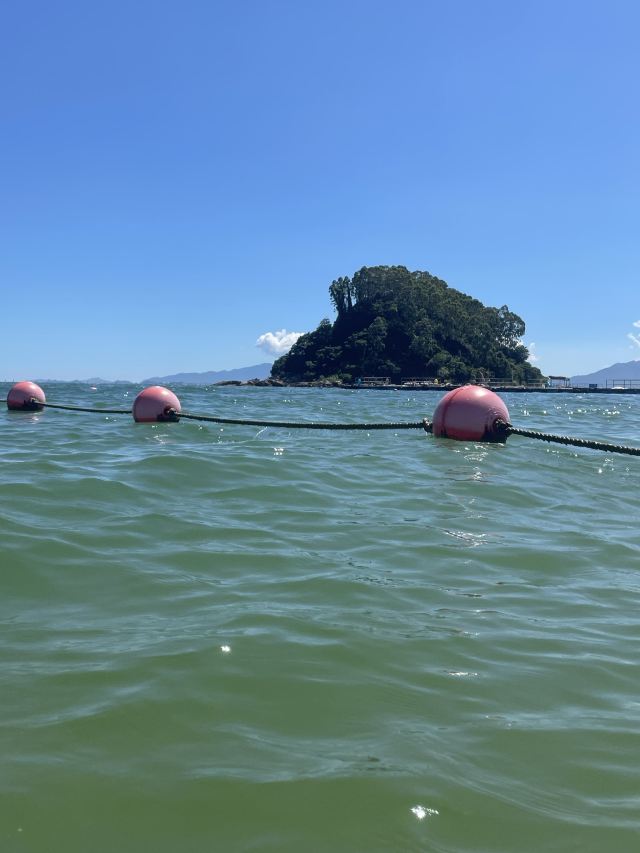 大亚湾旅行图片 1