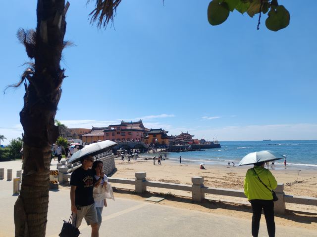 洛伽寺旅行图片 1