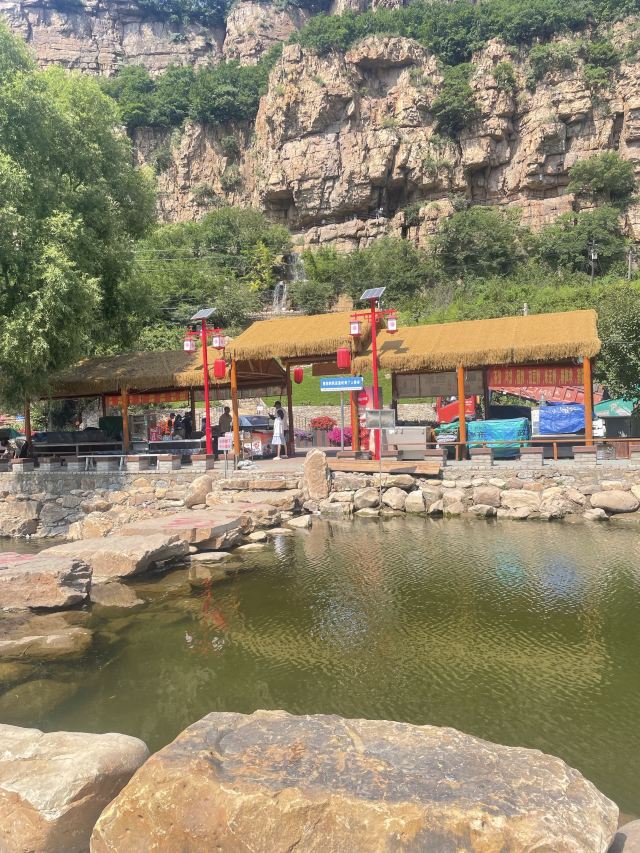 人参谷森林公园旅行图片 4